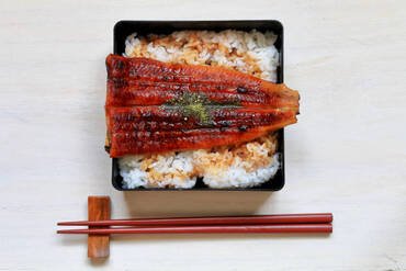 Eel weight made at home