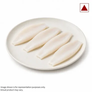 squid