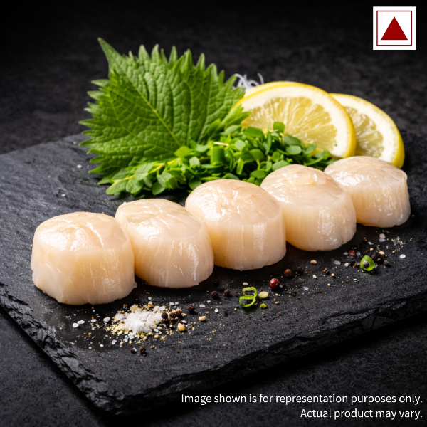 Hotate scallops icon