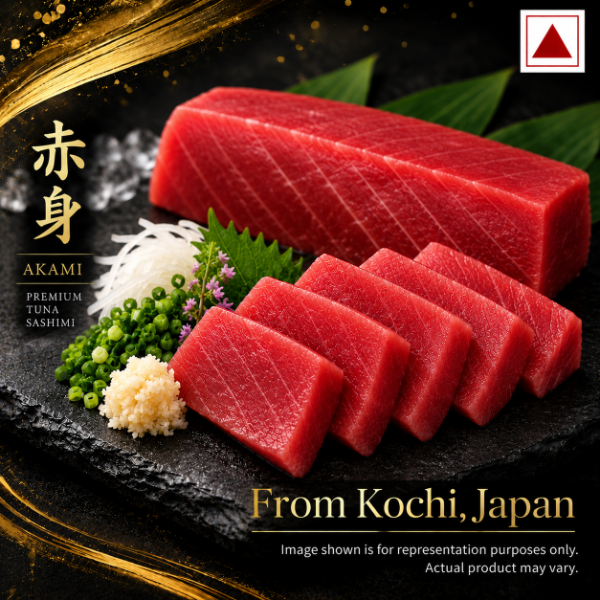 KOCHI_AKAMI_icon
