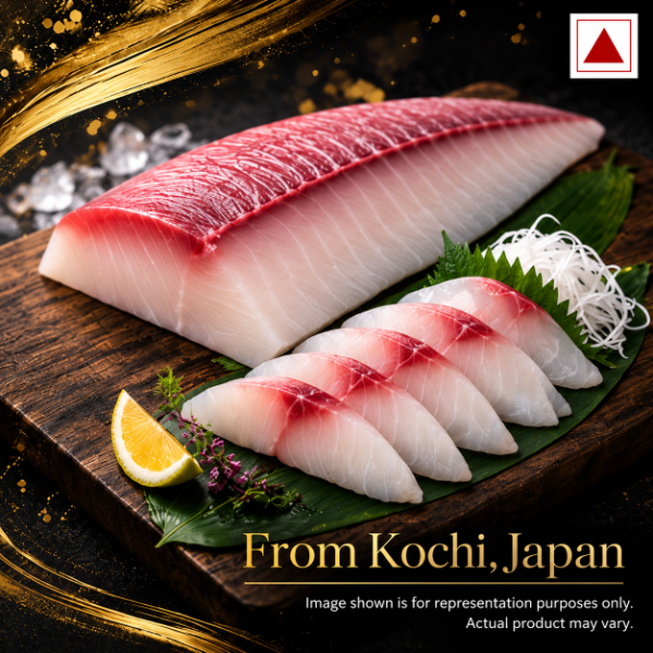 KOCHI_HAMACHI_icon