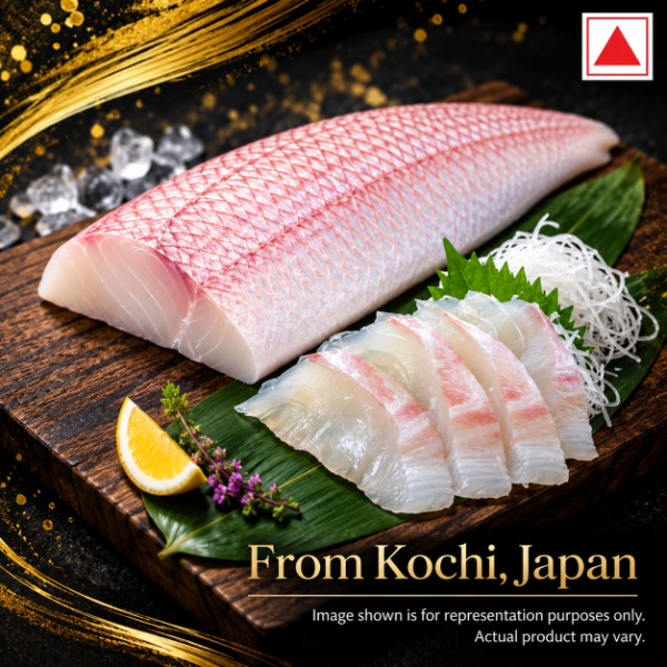 KOCHI_THAI_NEW