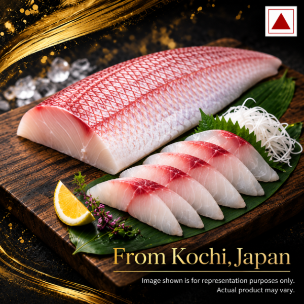 KOCHI_THAI_icon